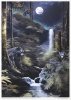Conjunto Creativo RP066 - Mysterious Creatures